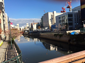 写真1