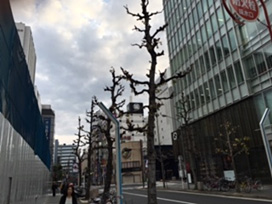 写真2