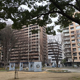 写真1