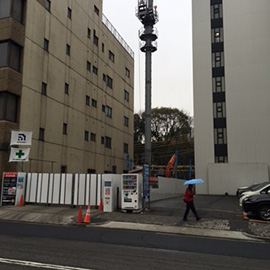 写真2