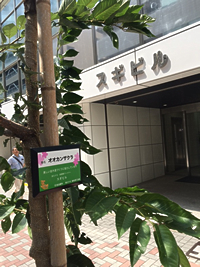 写真2