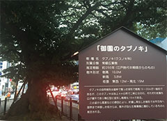 写真2