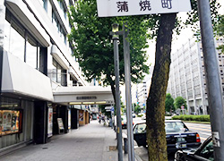 写真1