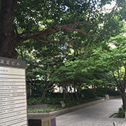 写真2