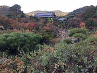 写真:毛利庭園