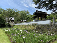 写真:高月院