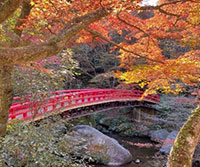 写真:紅葉と赤い橋