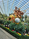 写真:植物園1