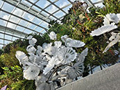 写真:植物園2